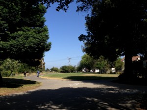 IMG_4568