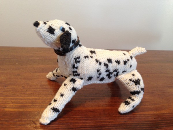 Teal's knit dalmatian