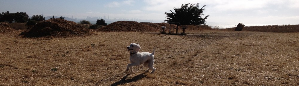 Greetings From Berkeley