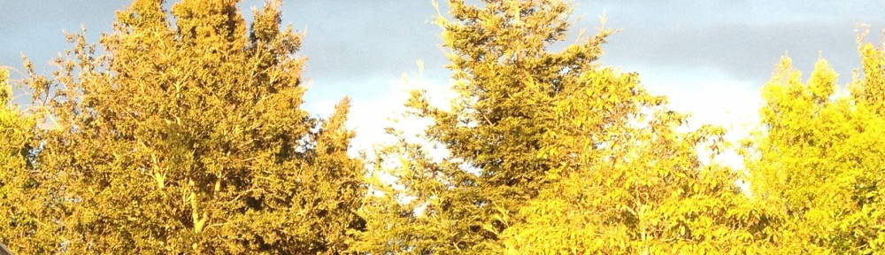Greetings From Berkeley